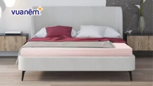 Phân tích ưu nhược điểm của nệm cao su chi tiết nhất