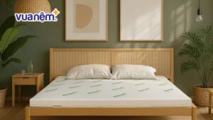 Bảng giá nệm cao su các loại cập nhật năm 2025