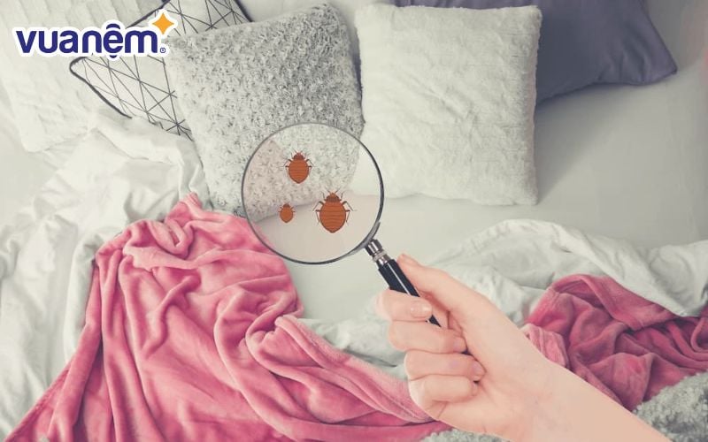 Nồm ẩm phòng ngủ tạo điều kiện cho nấm mốc, vi khuẩn phát triển