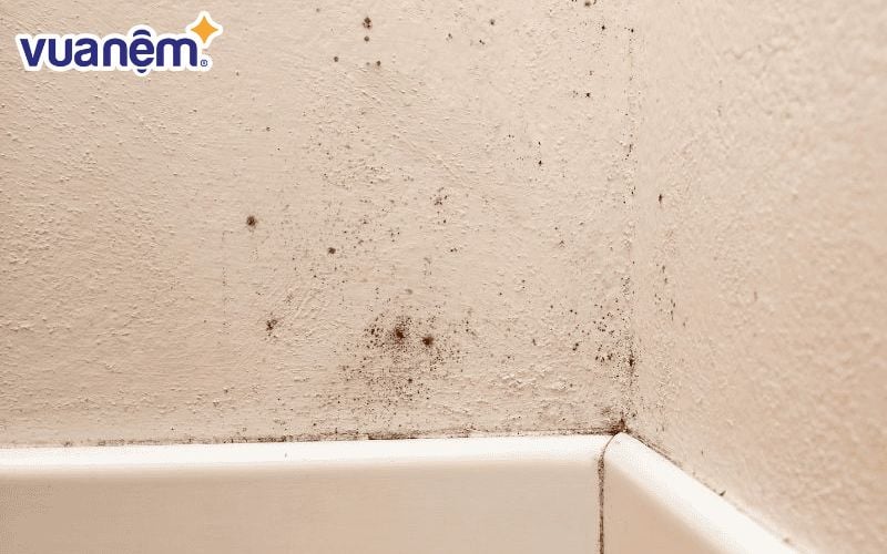 Phòng ngủ bị ẩm mốc do thời tiết nồm ẩm hoặc mưa kéo dài