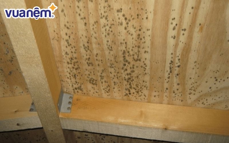 Gầm giường, góc tủ, rèm cửa là những vị trí dễ tích tụ ẩm