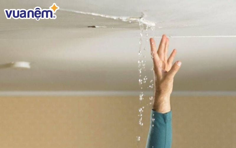 Kiểm tra các nguồn rò rỉ nước để ngăn ngừa ẩm mốc tái phát