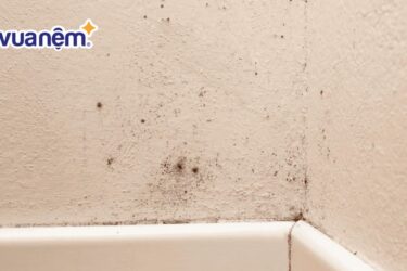 cách xử lý phòng ngủ ẩm mốc