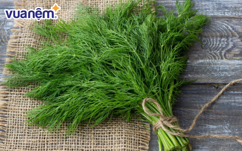 Cây thì là cũng có tác dụng xua đuổi muỗi