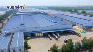 Công nghệ sản xuất nệm foam tiên tiến tại Vua Nệm