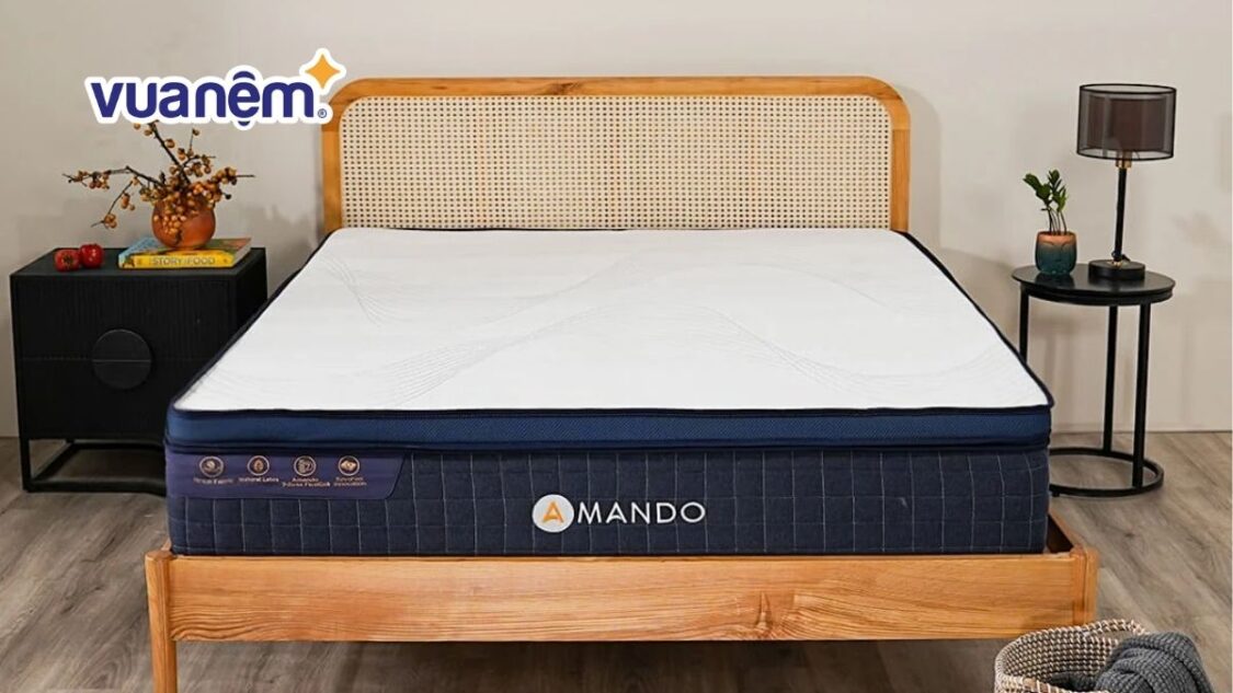 giá nệm amando