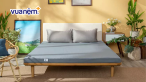 Bảng giá nệm Goodnight chính hãng cập nhật mới năm 2025