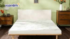 Bảng giá nệm Gummi chính hãng cập nhật 2025