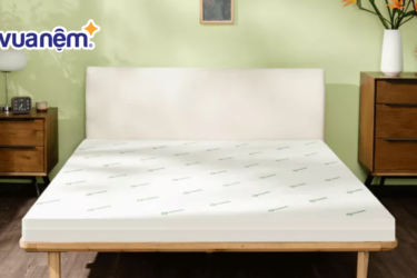 Để có một giấc ngủ ngon, việc lựa chọn một chiếc nệm phù hợp là cực kỳ quan trọng. Năm 2025, thương hiệu nệm Gummi tiếp tục khẳng định vị thế trên thị trường với các dòng sản phẩm đa dạng, chất lượng cao và giá cả hợp lý. Với cam kết sử dụng 100% cao su thiên nhiên và áp dụng công nghệ sản xuất tiên tiến, Gummi mang đến những chiếc nệm không chỉ êm ái mà còn thân thiện với môi trường và an toàn cho người sử dụng Dưới đây là bảng giá nệm Gummi cập nhật mới nhất năm 2025 giúp bạn dễ dàng so sánh và lựa chọn sản phẩm phù hợp. 1. Giới thiệu thương hiệu Gummi Gummi là thương hiệu “sinh sau đẻ muộn” khi chỉ mới xuất hiện trên thị trường vài năm trở lại đây, nhưng đã nhanh chóng tạo được dấu ấn riêng nhờ định hướng phát triển rõ ràng và cam kết đặt chất lượng giấc ngủ của người tiêu dùng lên hàng đầu. Đây là một trong những tên tuổi mới nổi trong ngành nệm tại Việt Nam, tập trung vào việc nghiên cứu và ứng dụng công nghệ hiện đại để mang đến những sản phẩm đạt tiêu chuẩn quốc tế. Gummi nổi bật với các dòng nệm làm từ cao su thiên nhiên 100%, cao su than tre kháng khuẩn và foam chất lượng cao – những chất liệu không chỉ đảm bảo độ đàn hồi và độ bền vượt trội mà còn an toàn tuyệt đối cho sức khỏe. Dù là thương hiệu non trẻ, Gummi đã thể hiện sự đầu tư nghiêm túc qua thiết kế sản phẩm tinh tế, hiện đại cùng với các chính sách hậu mãi rõ ràng, minh bạch. Nệm Gummi là sản phẩm được nhiều người dùng tin tưởng và lựa chọn Không chỉ đáp ứng nhu cầu về chất lượng, Gummi còn thấu hiểu người tiêu dùng Việt bằng việc xây dựng các dòng sản phẩm đa dạng, phù hợp nhiều phân khúc từ phổ thông đến cao cấp. Chính nhờ chiến lược phát triển đúng đắn và sự chăm chút trong từng chi tiết, Gummi đang dần khẳng định vị thế vững chắc trong lòng người tiêu dùng và trên thị trường nệm trong nước. 2. Bảng giá nệm thương hiệu Gummi mới nhất 2025 Dưới đây là bảng giá nệm Gummi với đầy đủ các kích thước để bạn tham khảo (Cập nhật tháng 05/2025) Tên sản phẩm Kích thước (cm) Giá bán (VNĐ) Gummi Classic 5cm 160x200 6.343.200 180x200 7.151.200 200x200 8.063.200 220x200 12.479.200 Gummi Classic 10cm 120x200 6.312.000 140x200 7.599.200 160x200 8.799.200 180x200 10.079.200 220x200 12.479.200 Gummi Classic 15cm 160x200 13.487.200 180x200 14.751.200 Gummi Premium detox 10cm 120x200 11.699.000 140x200 13.299.000 160x200 15.299.000 180x200 17.299.000 220x200 21.799.000 Gummi Lite 10cm 120x200 4.462.500 160x200 5.587.500 180x200 6.937.500 220x200 8.662.500 Gummi Legend 20cm 180x200 43.399.000 Gummi 7zones 12cm 160x200 20.999.000 180x200 23.999.000 Lưu ý: Giá nệm Gummi có thể thay đổi tuỳ vào địa điểm bán và các chương trình khuyến mãi đi kèm. 3. Top 3 sản phẩm nệm Gummi giá tốt bán chạy 2025 3.1. Nệm Gummi Classic - Nệm cao su thế hệ mới Nệm cao su Gummi Classic được xem là dòng sản phẩm kinh điển của thương hiệu Gummi, hội tụ đầy đủ các tiêu chuẩn về độ êm ái, nâng đỡ và an toàn cho sức khỏe. Sản phẩm được làm từ 100% cao su thiên nhiên đã loại bỏ tạp chất, không gây kích ứng da, phù hợp cho những người có làn da nhạy cảm đặc biệt là trẻ nhỏ. Gummi Classic Thiết kế nệm với hơn 6.000 lỗ thoáng khí lớn nhỏ giúp không gây nóng bí, rất thích hợp với khí hậu Việt Nam. Gummi Classic hỗ trợ tối ưu cho cột sống, giúp bảo vệ xương khớp, đặc biệt phù hợp với người lớn tuổi hoặc người gặp vấn đề về lưng. Ngoài ra, công nghệ khử mùi hiện đại mang lại mùi hương vanilla nhẹ nhàng, cho cảm giác dễ chịu khi sử dụng. Giá nệm Gummi Classic tương đối rẻ, phù hợp với nhiều phân khúc khách hàng từ sinh viên, gia đình trẻ đến người có thu nhập trung bình. 3.2. Nệm Gummi Premium detox - Nệm cao su thiên nhiên dày 10cm Nệm cao su Gummi Premium detox là sự kết hợp giữa cao su thiên nhiên nguyên chất và công nghệ hiện đại với thành phần than tre hoạt tính, mang đến trải nghiệm ngủ thoáng mát, sạch khuẩn và nâng đỡ cơ thể vượt trội. Nhờ cấu trúc đàn hồi tối ưu và độ cứng hợp lý, nệm hỗ trợ hiệu quả cho cột sống, đặc biệt phù hợp với người cao tuổi, dân văn phòng hoặc người có vấn đề về lưng. Nệm cao su Gummi Premium detox Công nghệ tích hợp than tre hoạt tính vào lõi cao su giúp tăng khả năng kháng khuẩn, khử mùi và lọc bụi bẩn tự nhiên, mang lại giấc ngủ an toàn và dễ chịu. Thiết kế nệm với hàng ngàn lỗ thông khí giúp giảm nóng bí, phù hợp với khí hậu nóng ẩm. Bề mặt vỏ nệm bằng sợi tre Bamboo mềm mại, thấm hút tốt và dịu nhẹ với làn da nhạy cảm, đi kèm họa tiết tinh tế và khóa kéo tiện lợi cho việc vệ sinh. 3.3. Nệm cao su đa tầng Gummi Lite Nệm Gummi Lite là dòng nệm cao su foam thế hệ mới, được thiết kế để hỗ trợ tối đa cho người gặp vấn đề về cột sống và giúp cải thiện chất lượng giấc ngủ. Sản phẩm kết hợp lớp cao su thiên nhiên bao phủ bên ngoài cùng lõi foam tỷ trọng cao bên trong, tạo nên kết cấu vững chắc nhưng vẫn êm ái, đàn hồi tốt theo từng chuyển động cơ thể. Nệm Gummi Lite Nhờ lớp foam được xử lý đặc biệt, nệm có khả năng chịu lực cao, hạn chế lún xẹp và duy trì độ bền vượt trội. Bề mặt nệm mềm mại, dễ chịu khi tiếp xúc với da, cùng với vỏ nệm có khóa kéo tiện lợi, giúp dễ dàng tháo rời để vệ sinh. 4. Cách mua nệm Gummi giá tốt nhất 4.1. Săn khuyến mãi từ website, fanpage thương hiệu Gummi Gummi thường xuyên tung ra các chương trình ưu đãi trực tuyến như giảm giá, tặng quà hay miễn phí vận chuyển. Vì vậy hãy theo dõi website chính thức và fanpage của thương hiệu để không bỏ lỡ các đợt khuyến mãi hấp dẫn nhé. 4.2. Mua vào dịp sale lớn blackfriday, lễ, tết… Những dịp đặc biệt trong năm như Tết Nguyên Đán, Black Friday, sinh nhật thương hiệu,… thường là thời điểm giá nệm Gummi giảm sâu. Đây là cơ hội tốt để bạn mua được sản phẩm chất lượng với chi phí tiết kiệm hơn nhiều so với ngày thường. 4.4. Mua nệm Gummi giá tốt tại Vua Nệm Vua Nệm là nhà phân phối chính thức của thương hiệu Gummi, cam kết cung cấp 100% sản phẩm chính hãng với đầy đủ chế độ bảo hành. Tại đây, bạn có thể dễ dàng tìm thấy đầy đủ các dòng nệm Gummi từ phổ thông đến cao cấp với mức giá nệm Gummi cạnh tranh nhất và nhiều chương trình ưu đãi hấp dẫn. Ngoài ra, Vua Nệm còn hỗ trợ trả góp 0%, miễn phí giao hàng, đổi trả linh hoạt và dịch vụ chăm sóc khách hàng tận tâm, giúp bạn yên tâm khi lựa chọn sản phẩm phù hợp với nhu cầu. Hy vọng bảng giá nệm Gummi cập nhật mới nhất và các thông tin Vua Nệm cung cấp trong bài viết trên đã giúp bạn có cái nhìn tổng quan để chọn mua sản phẩm phù hợp nhất cho bản thân hoặc gia đình mình.