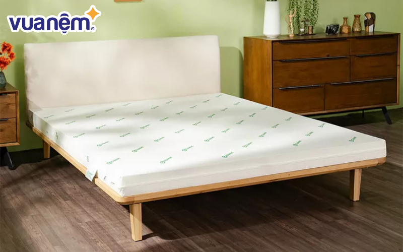 Nệm Gummi Lite