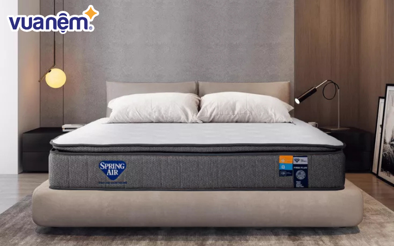 Spring Air Back Supporter Firm Plus