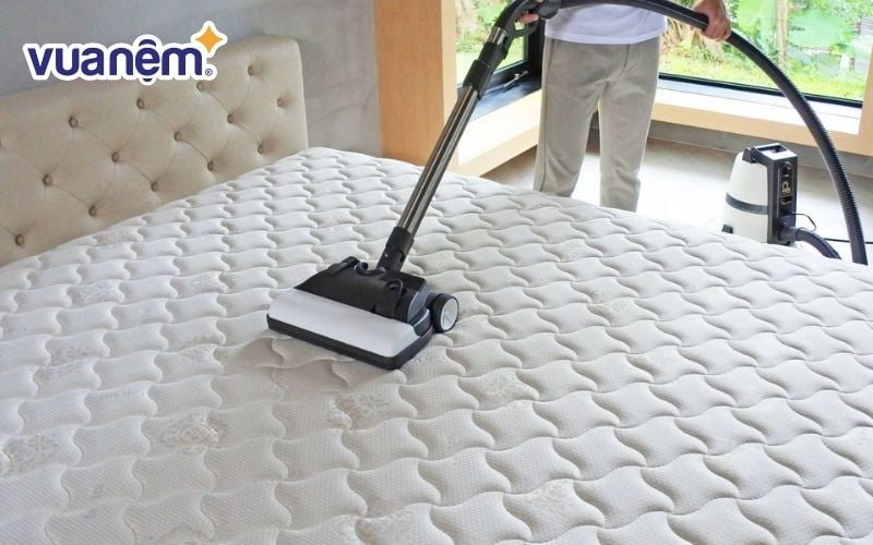 Vệ sinh đệm định kỳ để nệm không tích tụ vi khuẩn và bụi bẩn