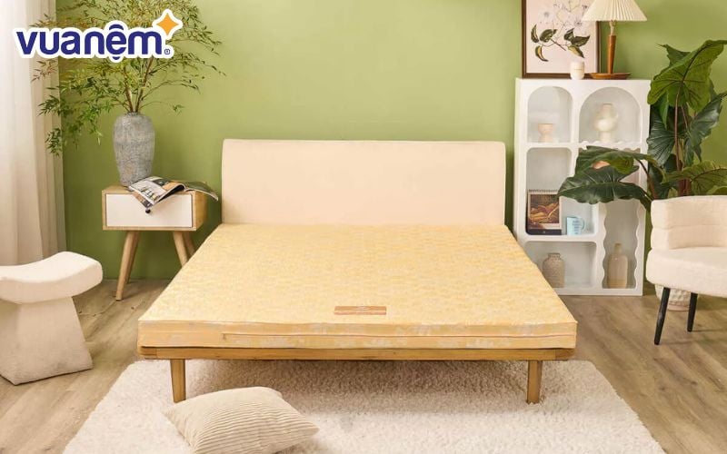 Nệm bông ép mua ở đâu uy tín là thắc mắc của rất nhiều khách hàng