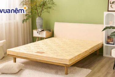Nệm bông ép mua ở đâu uy tín, chất lượng, giá phải chăng?