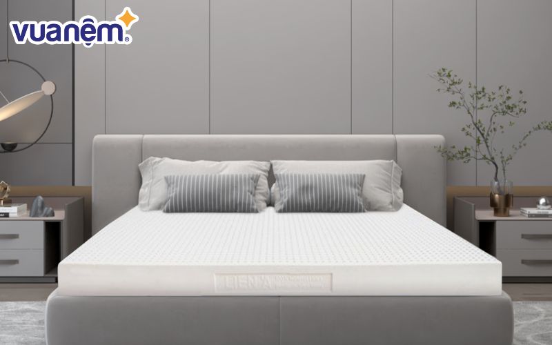 Nệm cao su Liên Á 2m phù hợp với nhiều đối tượng sử dụng
