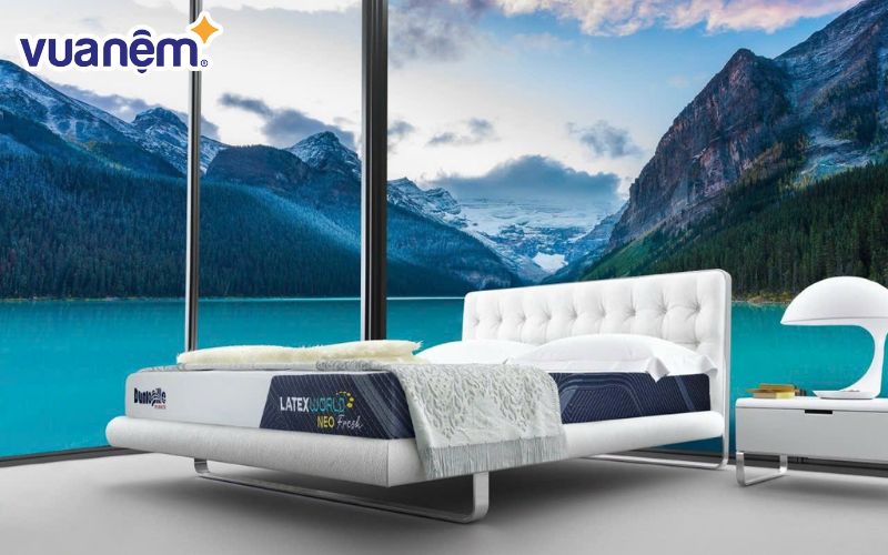 Nệm cao su Dunlopillo được làm từ chất liệu cao su thiên nhiên nhập khẩu