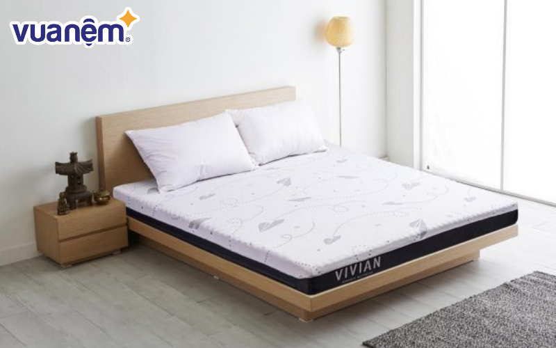 Đệm Hanvico đa dạng chủng loại, kiểu dáng và kích thước