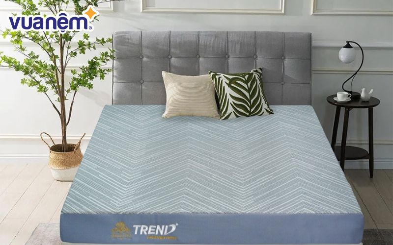 Nệm foam là một trong những sản phẩm mới đưa ra thị trường của nệm Kim Cương