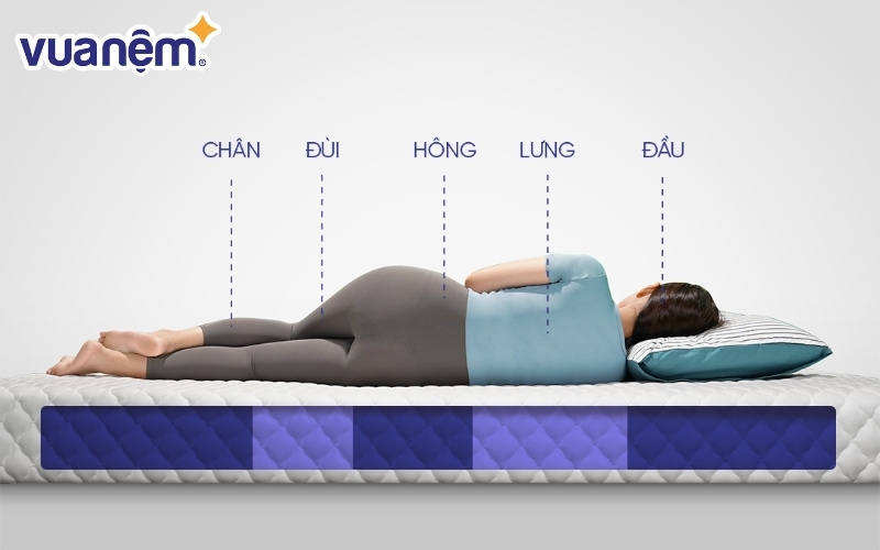 Khả năng nâng đỡ của nệm Kim Cương