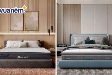 So sánh nệm Amando và nệm Dunlopillo: Nên mua loại nào?