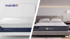 So sánh nệm Amando và Bedgear: Loại nệm nào đáng được chọn?