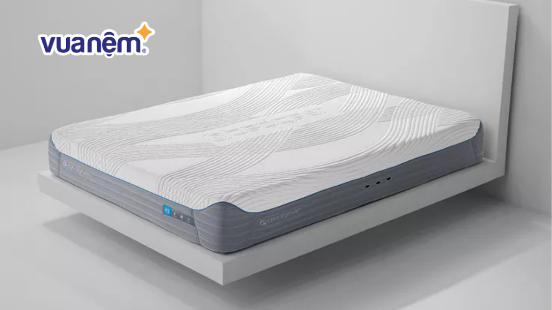 So sánh nệm Bedgear và nệm Dunlopillo chi tiết nhất