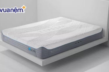 So sánh nệm Bedgear và nệm Dunlopillo chi tiết nhất