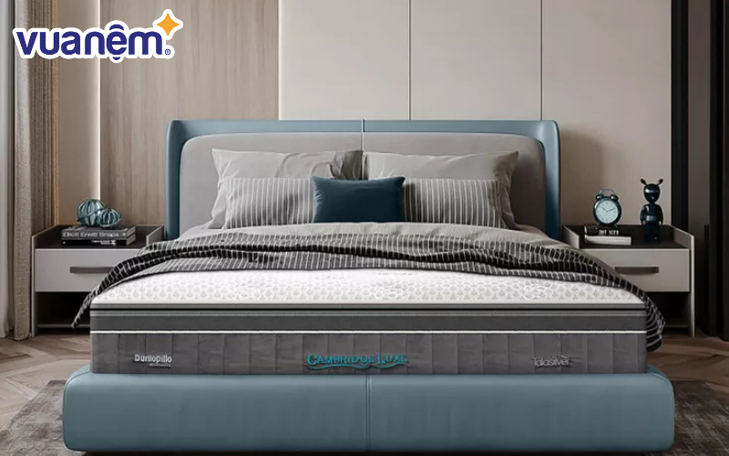 So sánh nệm Bedgear và nệm Dunlopillo - Dunlopillo nằm trong phân khúc nệm cao cấp