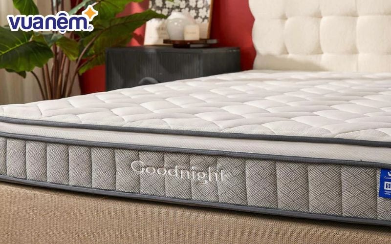 Thương hiệu nệm Goodnight mang đến các sản phẩm vừa tiện nghi, vừa hợp túi tiền