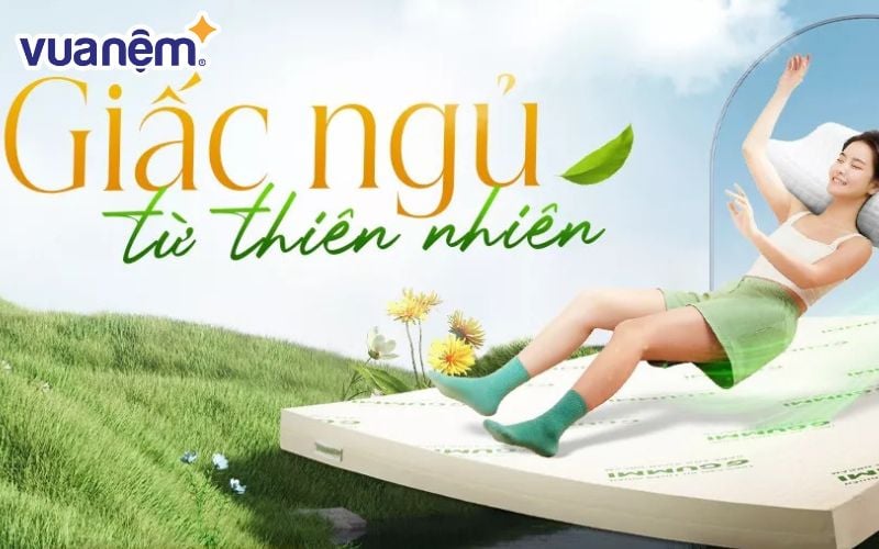 Thương hiệu nệm Gummi - “Giấc ngủ từ thiên nhiên”