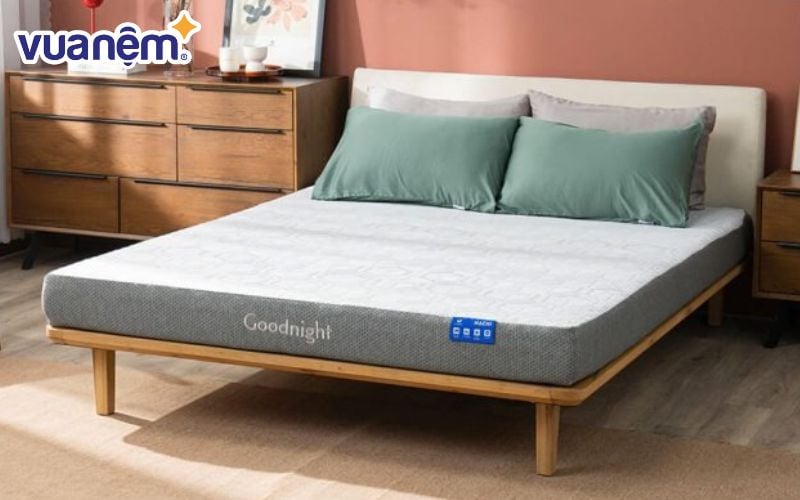Goodnight hướng đến nhóm khách hàng phổ thông