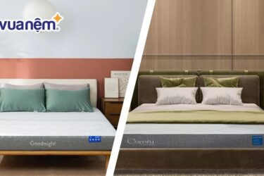 So sánh nệm Goodnight và nệm iComfy: Loại nào tốt hơn?