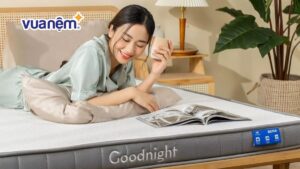 So sánh nệm Goodnight và nệm Tempur: Giá thành và chất lượng?