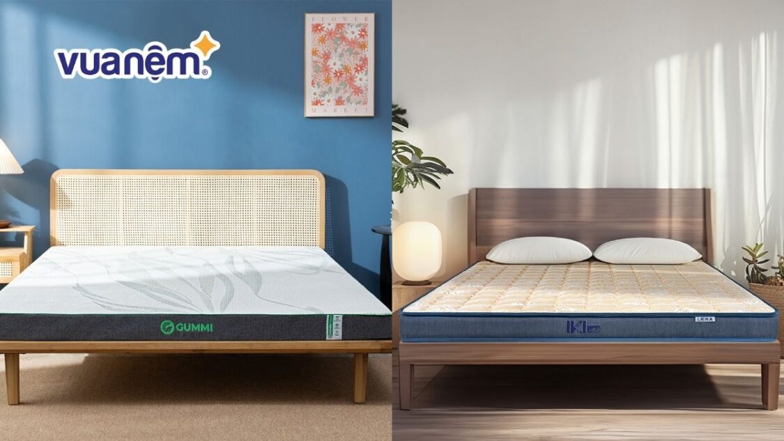 so sánh nệm gummi và nệm liên á