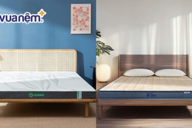 so sánh nệm gummi và nệm liên á