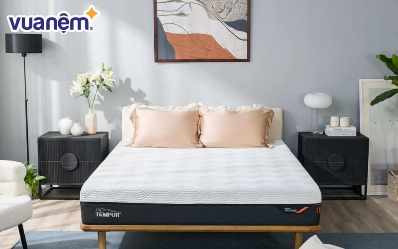 Tempur là đơn vị tiên phong đưa công nghệ foam Tempur – vật liệu giảm áp lực được phát triển bởi NASA – vào sản xuất nệm