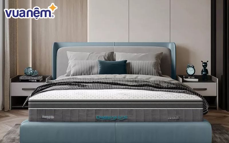 Dunlopillo là sản phẩm nệm cao cấp rất phổ biến trên thị trường Việt