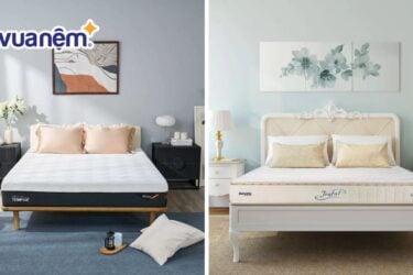 So sánh nệm Tempur và nệm Dunlopillo: Nên mua loại nào?