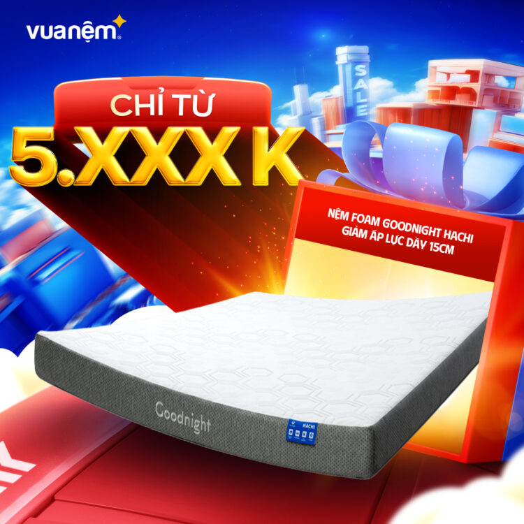 Nệm foam Goodnight Hachi