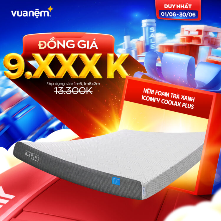 Nệm foam iComfy Coolax Plus