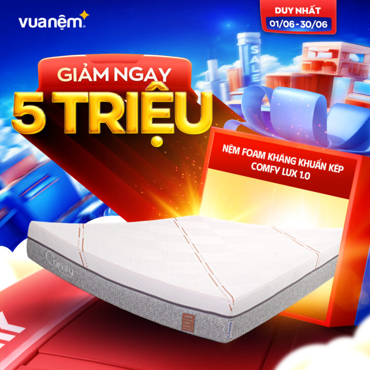 Nệm foam Comfy Lux 1.0
