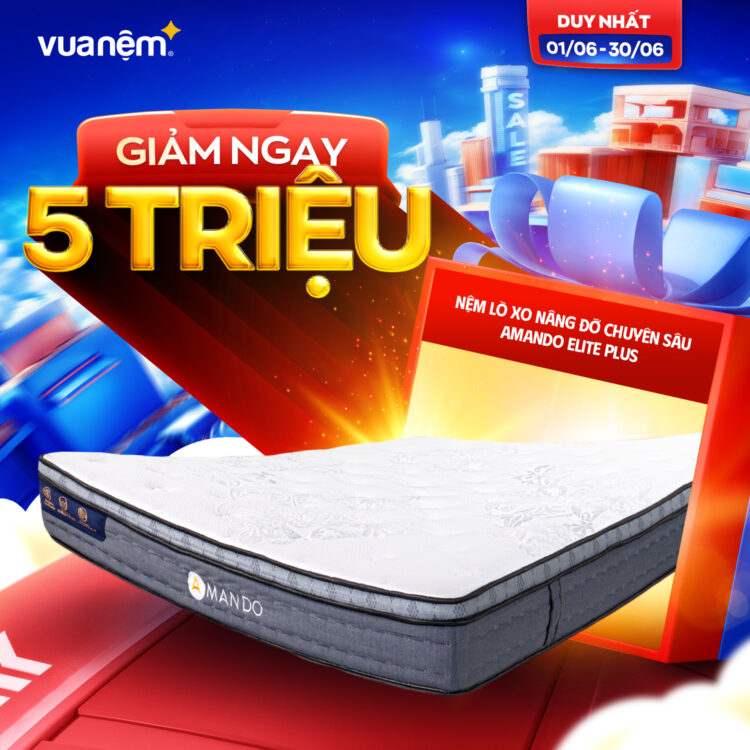 Nệm lò xo nâng đỡ Amando Elite Plus