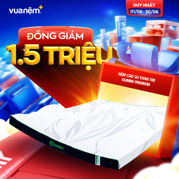Nệm cao su than tre Gummi Premium