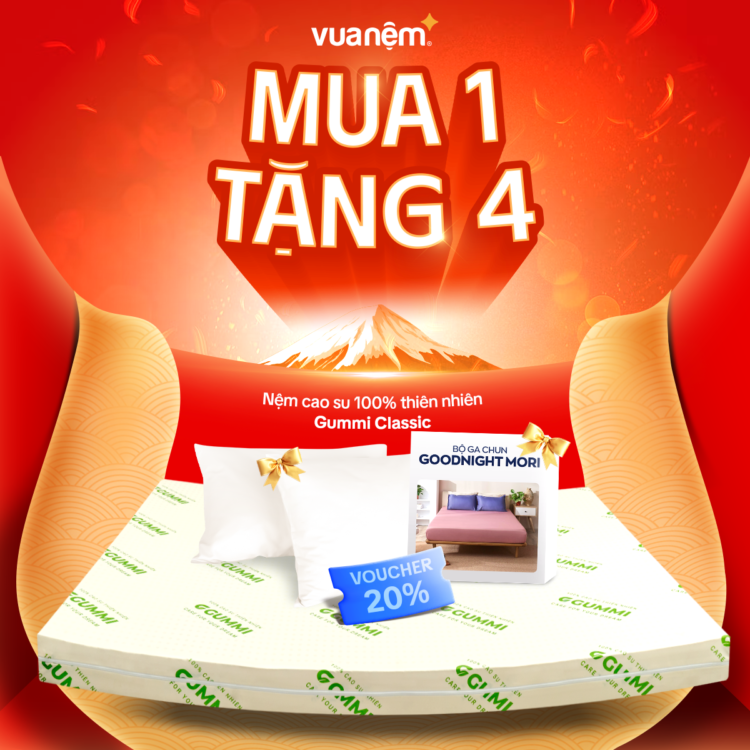 Nệm cao su Gummi Classic mua 1 tặng 4