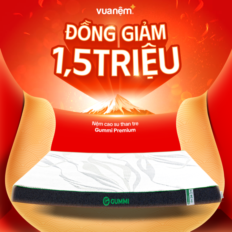 Nệm cao su Gummi Premium đồng giảm 1.5 triệu đồng