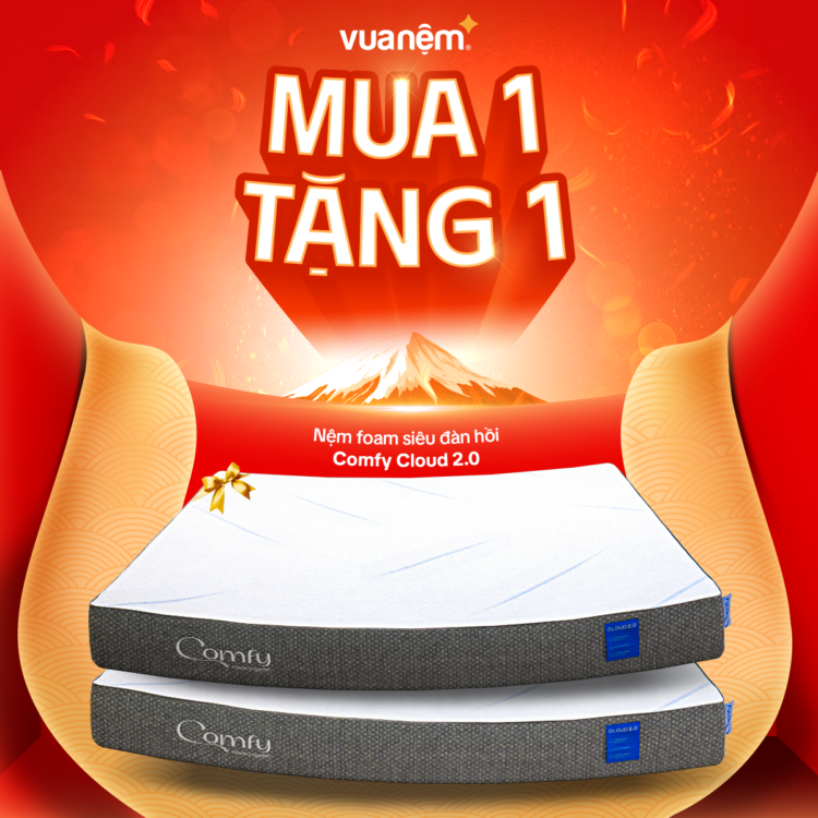 Nệm foam Comfy Cloud 2.0 mua 1 tặng 1