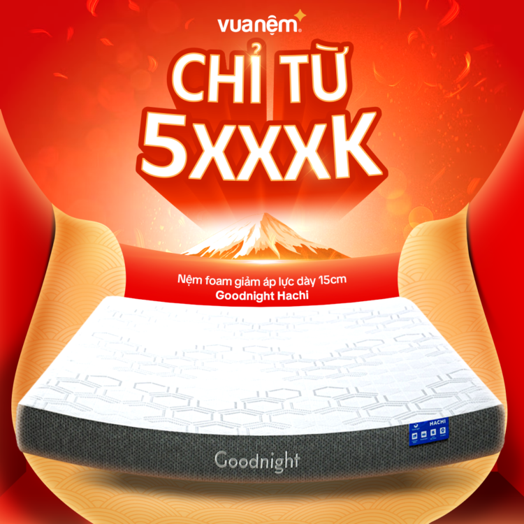 Nệm foam Goodnight Hachi chỉ từ 5.XXXK