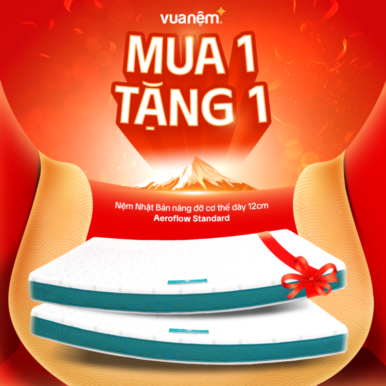 Nệm foam Nhật Aeroflow Standard mua 1 tặng 1