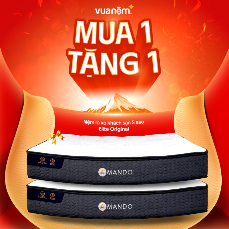 Nệm Amando Elite Original mua 1 tặng 1