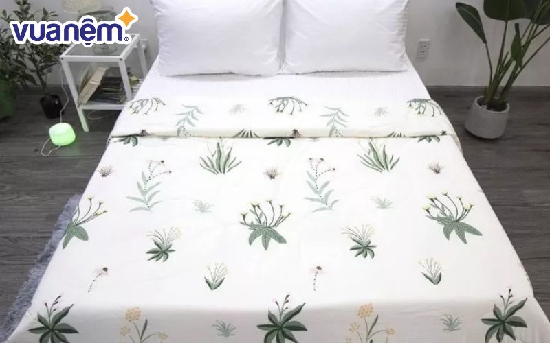 Chăn mùa hè Hàn Quốc Amando Silky